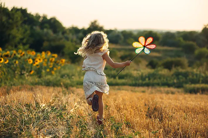 Image header 2